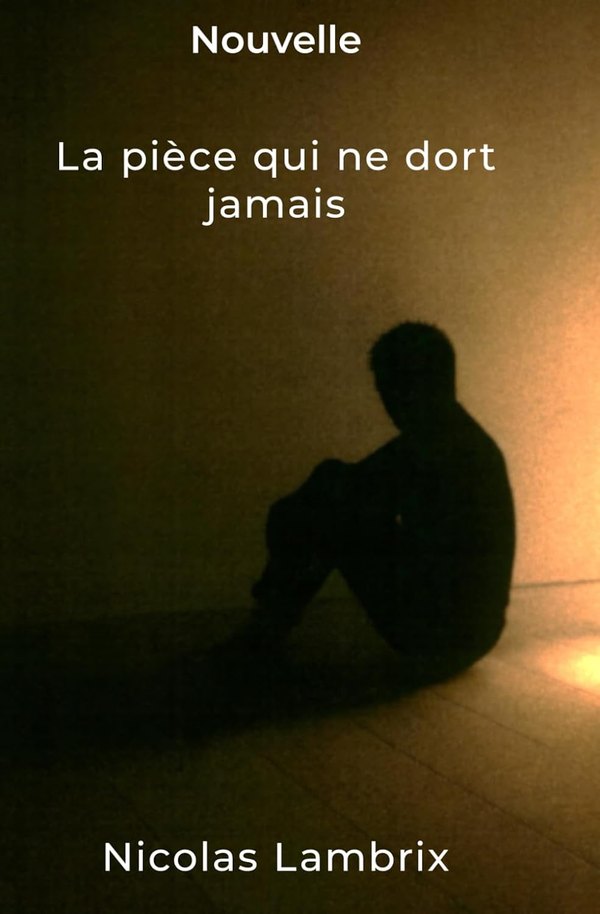 Couverture de La pièce qui ne dort jamais, de Nicolas Lambrix